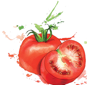 Top Catering Companies In Dubai 